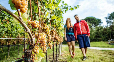 Tirolo, gli eventi di primavera ed estate dedicati al vino