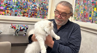 Nino Frassica e il gatto scomparso: «Hiro ancora non è stato ...