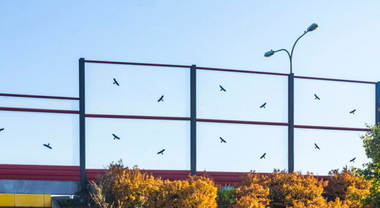 Sai perché appaiono le sagome di uccelli sulle barriere antirumore delle autostrade? Il motivo