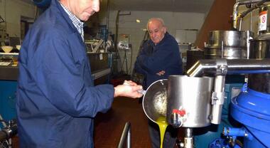 Terni. Tutti pazzi per l'olio Dal 19 ottobre frantoi aperti via libera  all'assaggio