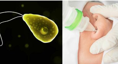 Ameba mangia cervello, l'avvertimento dei pediatri: «Attenzione ai lavaggi nasali»