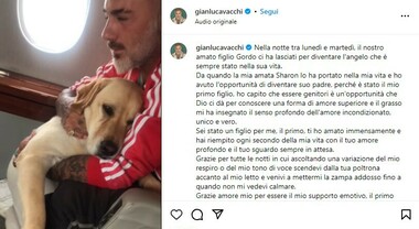 Gianluca Vacchi's Heartfelt Farewell to His Beloved Labrador Gordo