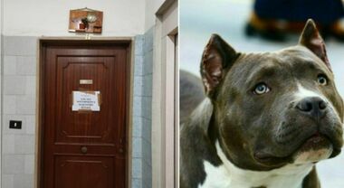 Bambina sbranata a 9 mesi dal pitbull, il funerale a porte chiuse nel Duomo  di Acerra.