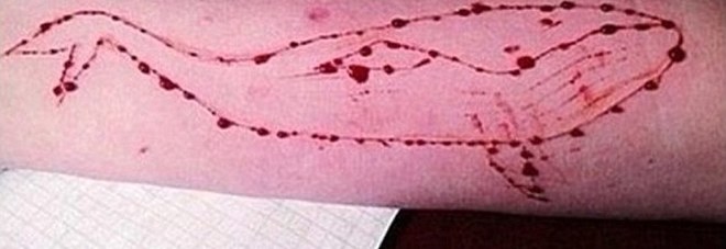 Ragazzina di 16 anni alle amiche: «Mi butto dall'ottavo piano» Ragazzina di 16 anni alle amiche: «Mi butto dall'ottavo piano»