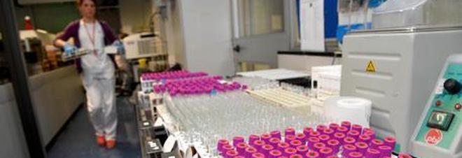 Studente si ammala di tubercolosi: scuola in allarme, test per i compagni Studente si ammala di tubercolosi: scuola in allarme, test per i compagni