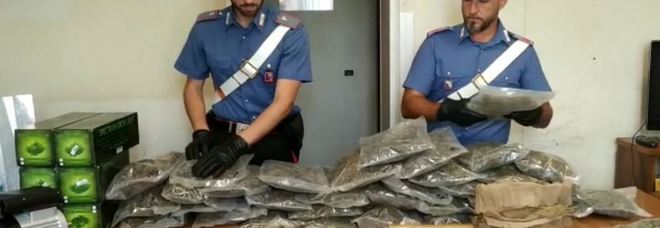 La droga sequestrata dai carabinieri nella zona di piazza Gasparri La droga sequestrata dai carabinieri nella zona di piazza Gasparri