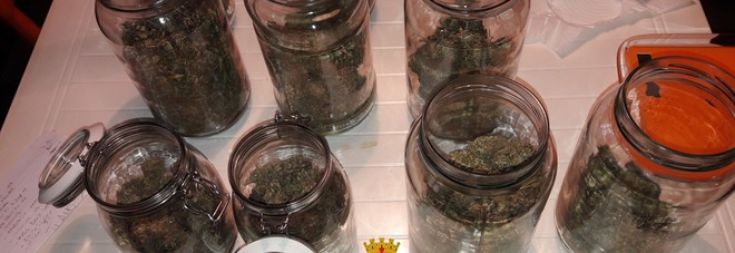 Ancona, festeggiava
S.Valentino con la marijuana
Finisce in manette