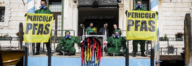 Pfas, arrivati i dati dello studio sui residenti: allevatori i più esposti Pfas, arrivati i dati dello studio sui residenti: allevatori i più esposti