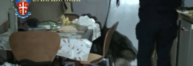 Mafia e droga nel Nord Salento: condanne per 3 secoli e mezzo
Ecco tutti i nomi dei 54 imputati Mafia e droga nel Nord Salento: condanne per 3 secoli e mezzo
Ecco tutti i nomi dei 54 imputati
