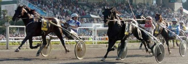 L'ippodromo affollato nel giorno del Lotteria L'ippodromo affollato nel giorno del Lotteria