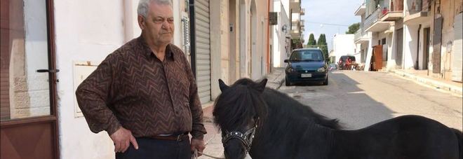 Il pony con il suo proprietario Il pony con il suo proprietario