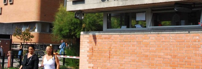 Morso da un ragno violino
vigile salvato in extremis:
è vivo per miracolo