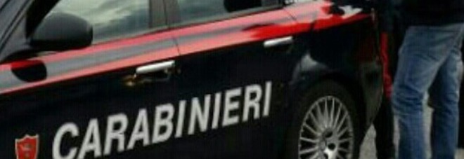 Migrante accoltella l'autista del bus: choc a Siena, vittima in fin di vita Migrante accoltella l'autista del bus: choc a Siena, vittima in fin di vita