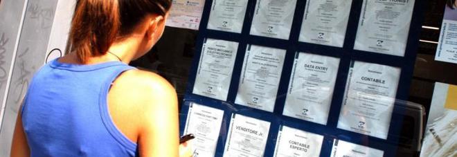 Offre lavoro per 1500 euro,
ma va nessuno: «Aspettano
il reddito di cittadinanza»