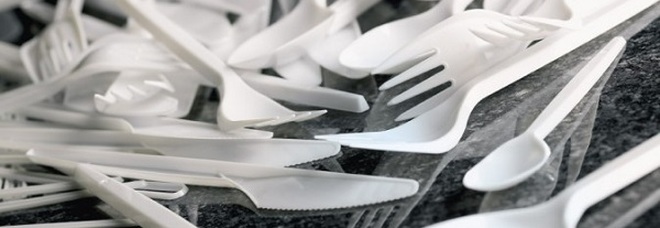 Addio a cotton fioc, piatti e posate di plastica: l'Europa vuole renderli fuorilegge Addio a cotton fioc, piatti e posate di plastica: l'Europa vuole renderli fuorilegge