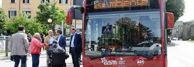 Bus Asm Bus Asm