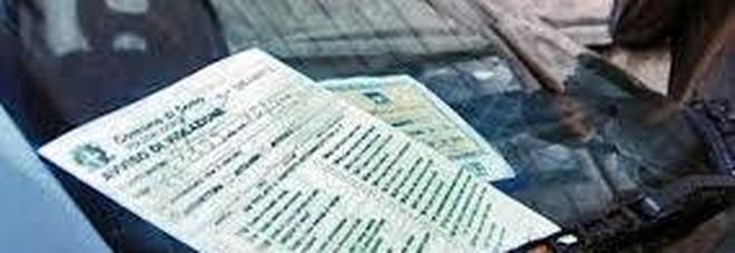 È la "primula rossa" del codice della strada: 118 veicoli intestati È la "primula rossa" del codice della strada: 118 veicoli intestati