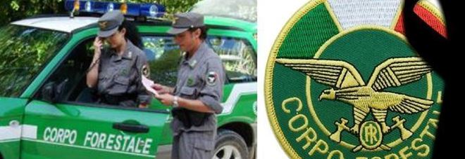 Caos Forestale, in 7 mila diventano carabinieri: valanga di ricorsi Caos Forestale, in 7 mila diventano carabinieri: valanga di ricorsi