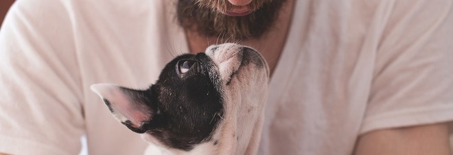 I cani possono allungare
la vita in particolare
quella dei single