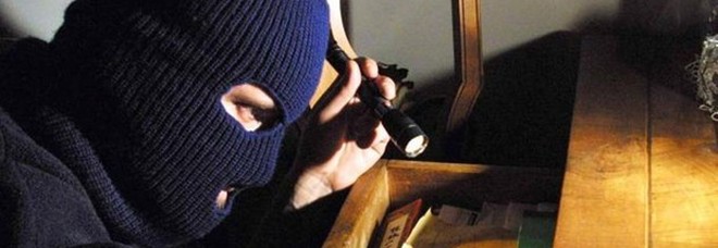 La vicina di casa li mette
in fuga: caccia a quattro
topi d'appartamento