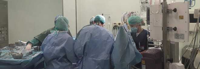 Torino, trapianto di fegato da positivo a positivo con terza dose: sta bene e in cura con le monoclonali Torino, trapianto di fegato da positivo a positivo con terza dose: sta bene e in cura con le monoclonali