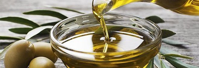 Arriva il primo olio d'oliva
col marchio "Marche Igp":
attesa una grande annata