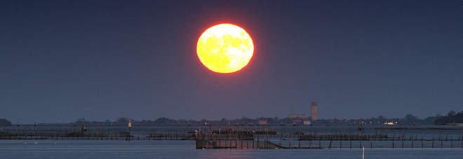 Dalla Superluna alle stelle cadenti, nei prossimi giorni tutti con il naso all'insù Dalla Superluna alle stelle cadenti, nei prossimi giorni tutti con il naso all'insù