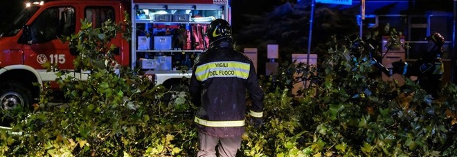 Maltempo, vento forte, alberi caduti
e un fulmine incendia una casa