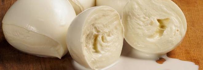 Soffocata dalla mozzarella, viene salvata in strada da un volontario. «Altri automobilisti indifferenti» Soffocata dalla mozzarella, viene salvata in strada da un volontario. «Altri automobilisti indifferenti»