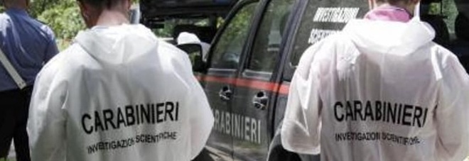 Uccisa e fatta a pezzi, L'autopsia: la vittima colpita più volte alla testa Uccisa e fatta a pezzi, L'autopsia: la vittima colpita più volte alla testa