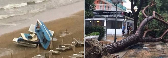 Venezia, violento temporale:
alberi sradicati, danni e feriti Venezia, violento temporale:
alberi sradicati, danni e feriti