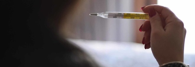 Usa, allarme influenza: venti bambini morti per il virus Usa, allarme influenza: venti bambini morti per il virus