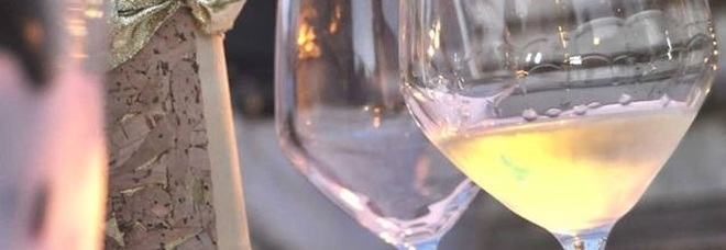 Bianchello & Friends: lunga
notte al Conventino
con 17 super cantine