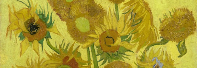 Il girasoli di van Gogh, Museo Van Gogh di Amsterdam