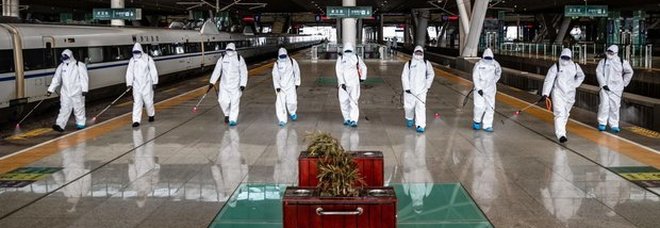 Hantavirus, uomo muore su un bus: paura per il virus trasmesso dai topi
