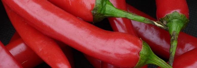 Peperoncino salvavita: chi lo usa dimezza il rischio di infarto e ictus