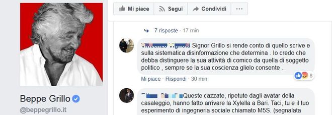 Grillo: la xylella è una bufala. Rivolta online, gli utenti lo attaccano: «Colpevole disinformazione» Grillo: la xylella è una bufala. Rivolta online, gli utenti lo attaccano: «Colpevole disinformazione»