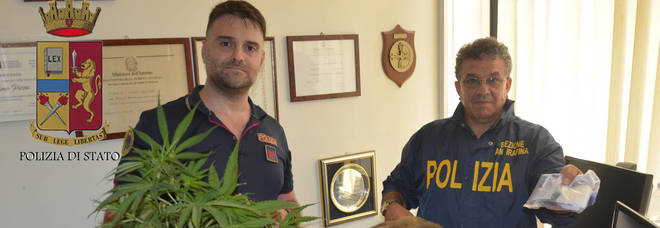 Le piantine scoperte dalla squadra mobile e grazie al cane Udor Le piantine scoperte dalla squadra mobile e grazie al cane Udor