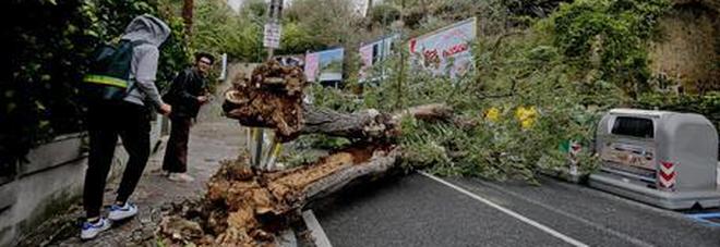 Lunedì 5, ancora chiuse le scuole Viviani e Cimarosa a Posillipo Lunedì 5, ancora chiuse le scuole Viviani e Cimarosa a Posillipo