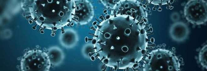 Coronavirus, la speranza dall'Olanda: «Trovato l'anticorpo, farmaco pronto per essere testato»