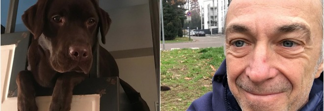Il dramma di Linus, morta la cagnolina
di soli 10 mesi: "Scappata, è stata investita"