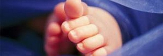 Neonato in un bidone della spazzatura, clochard scopre il corpo privo di vita