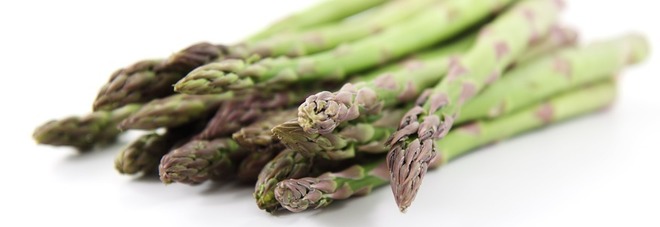 Asparagi Asparagi