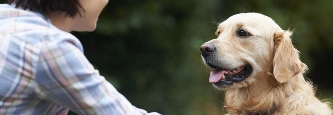 I cani stimolano le stesse emozioni dei figli: lo dice la scienza I cani stimolano le stesse emozioni dei figli: lo dice la scienza