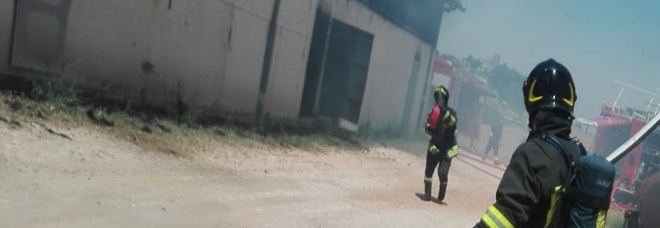 Furioso incendio devasta
un allevamento:
è strage di bovini