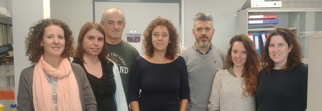 Tumore al cervello, scoperta la proteina che può bloccarlo. Il team di ricercatori: «Legata all'Alzheimer»