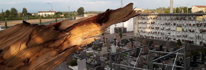 Il cimitero di Muzzana del Turgnano Il cimitero di Muzzana del Turgnano