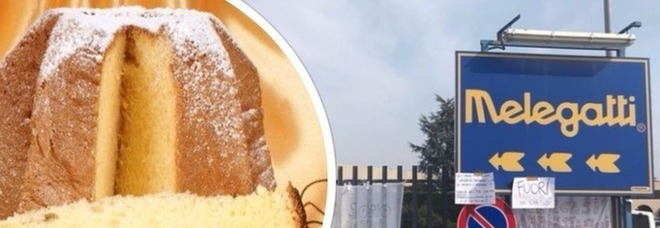 Melegatti addio: deserta l'asta per rilevare la storica azienda di pandori Melegatti addio: deserta l'asta per rilevare la storica azienda di pandori