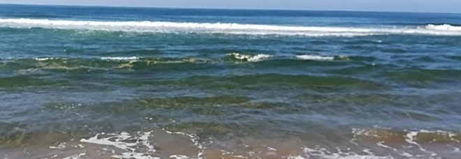 Latina, migrante salva due bimbi in mare: si è tuffato vestito e con il cellulare in tasca Latina, migrante salva due bimbi in mare: si è tuffato vestito e con il cellulare in tasca