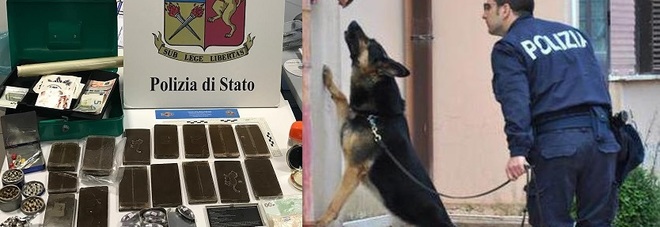 Poliziotti e cane antidroga gli trovano in casa 2 chili di hashish: arrestato Poliziotti e cane antidroga gli trovano in casa 2 chili di hashish: arrestato